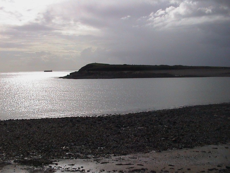 Sully Island
